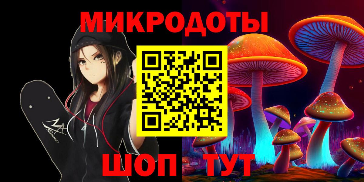 Псилоцибиновые грибы Psilocybe Подольск